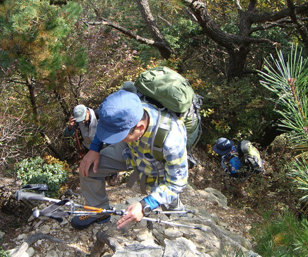 e0371039_6591455.gif