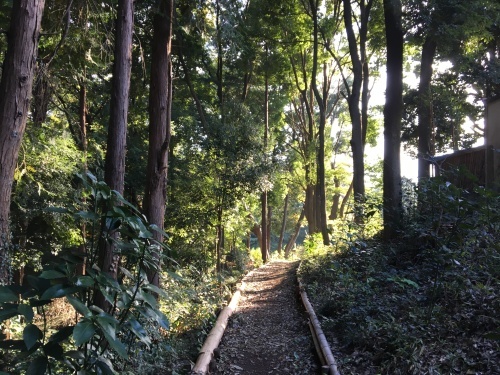 かしの木山自然公園…自転車で行く_b0330040_08572389.jpeg