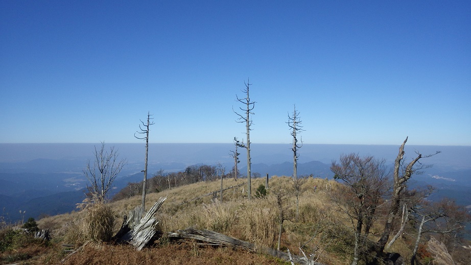 e0164643_16431776.jpg
