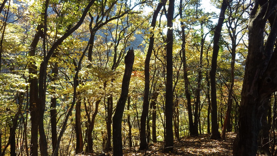 e0164643_16522117.jpg