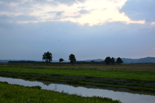 c0093046_19124945.gif