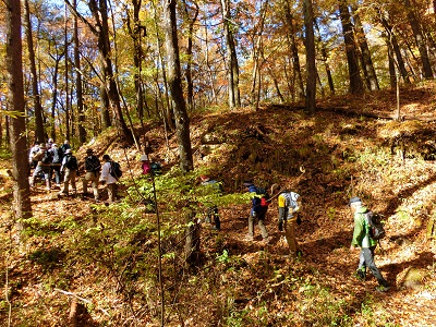 f0019247_20225083.jpg