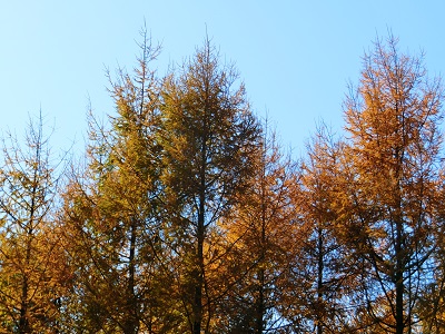 f0019247_22384585.jpg