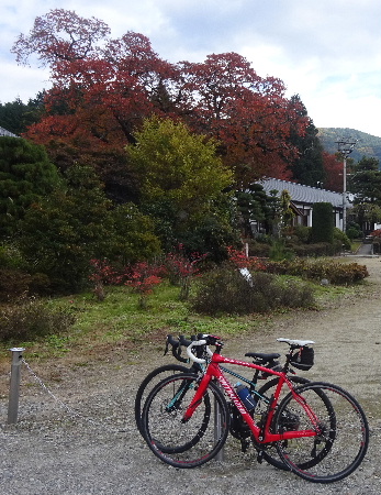 今日も短く、海岸寺からのまきば牧場・八ヶ岳倶楽部_e0172950_18502916.jpg