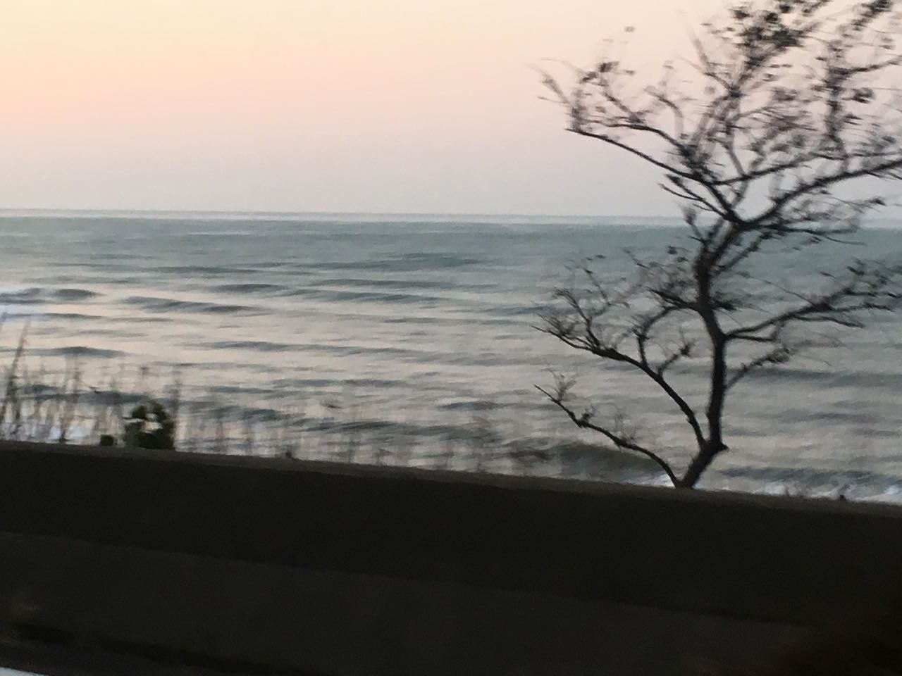 c0254151_1828513.jpg