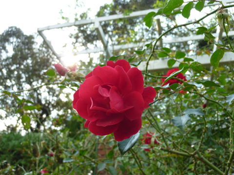 c0225153_23553679.jpg