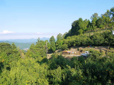 a0254656_16565104.jpg