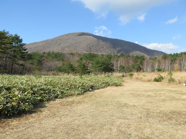 c0116856_19331453.jpg