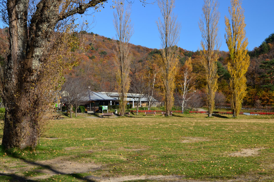 d0283357_17003238.jpg