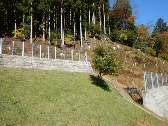 d0231858_16401323.jpg