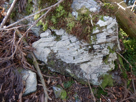 d0231858_17435868.jpg