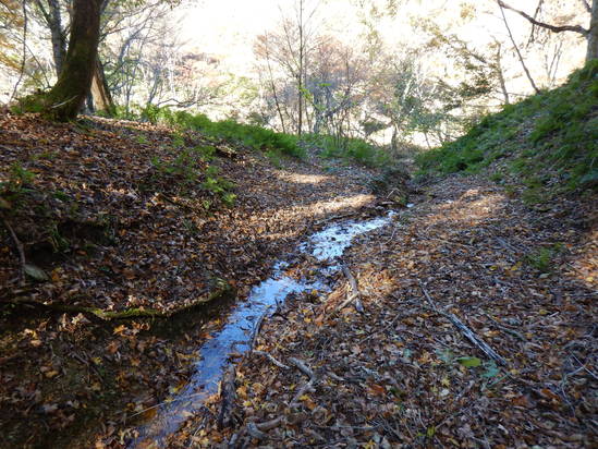 d0231858_1802611.jpg