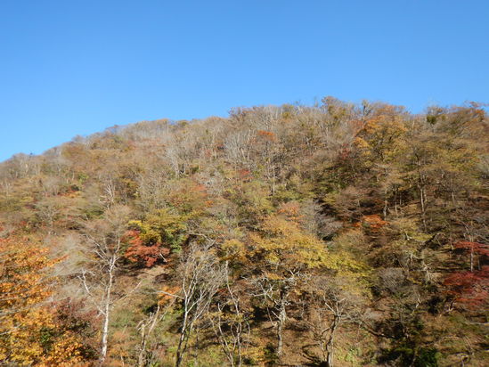 d0231858_18105340.jpg