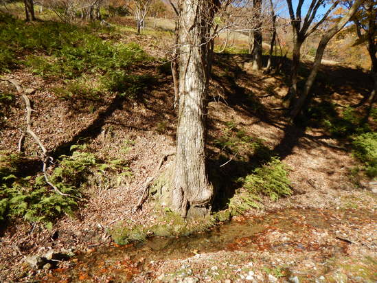 d0231858_1845080.jpg
