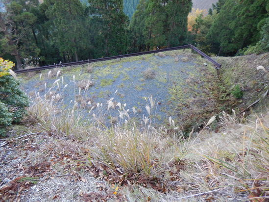 d0231858_22122929.jpg