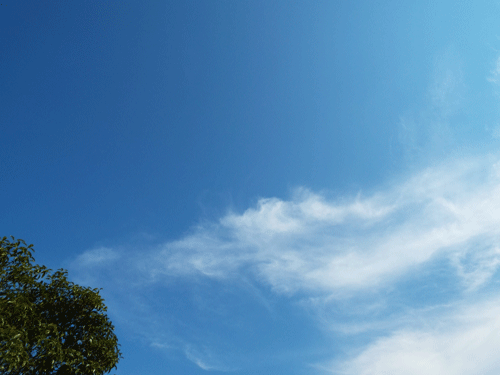 e0001558_11560950.gif