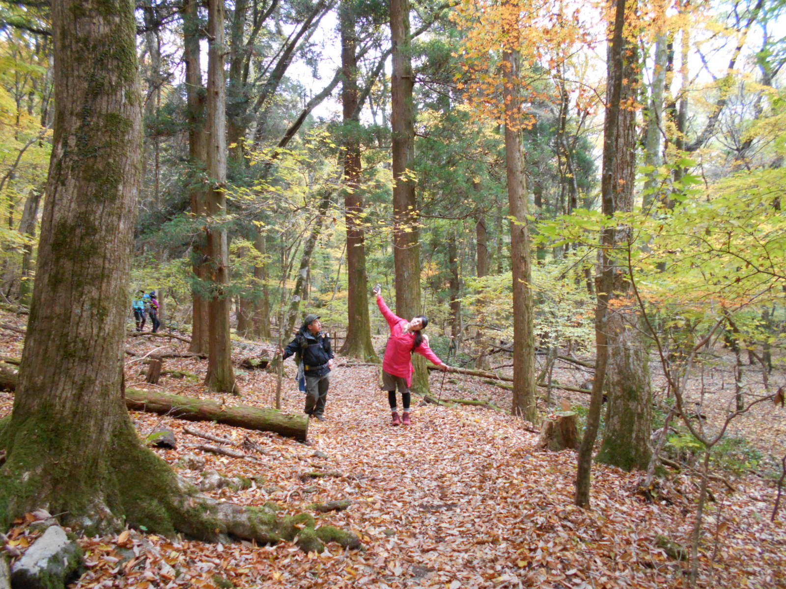 今年初めての山ガール_f0043559_11325152.jpg