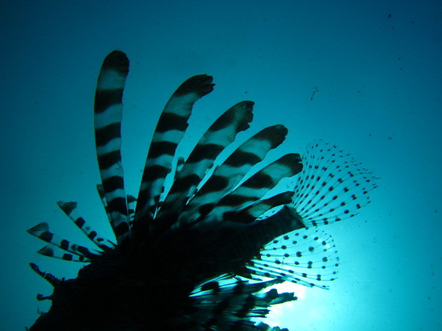 f0164662_15433295.jpg