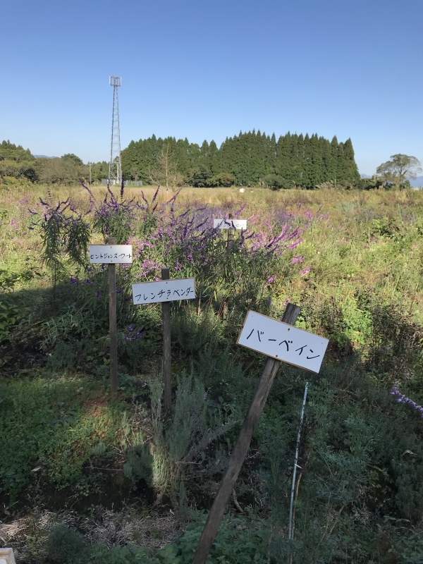 d0328666_14561973.jpeg