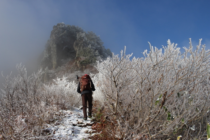 11月5日　　三方岩岳　野谷荘司山_f0223068_12332745.jpg