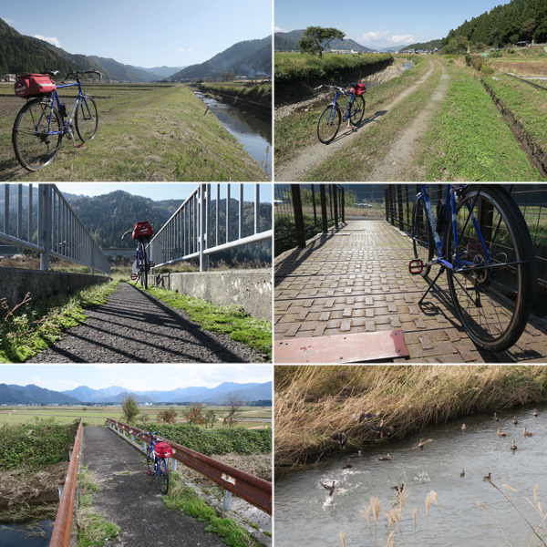 釣り場探索と水鳥の観察サイクリング。_c0087773_21350092.jpg