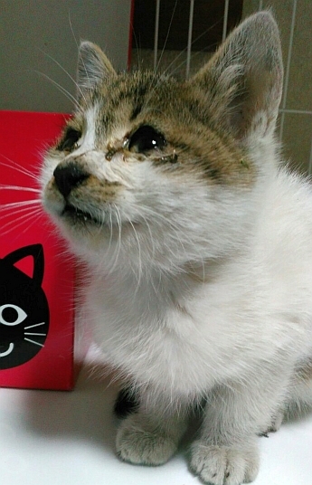 c0268274_20143101.jpg