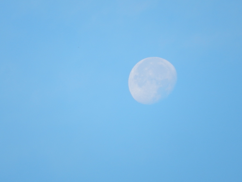 e0355177_16572811.jpg