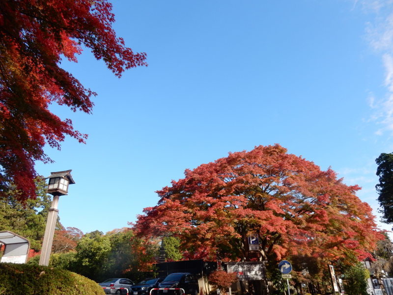円通院 松島②_e0355177_19494452.jpg