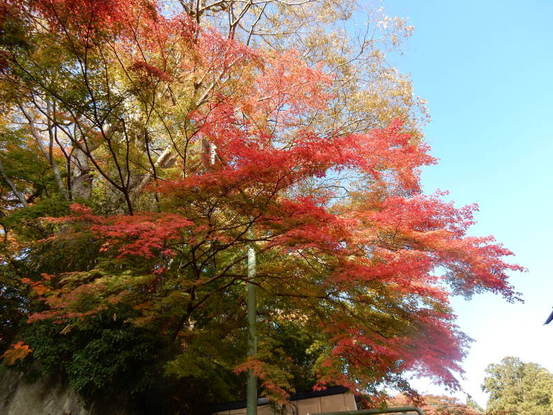 円通院 松島②_e0355177_19513758.jpg