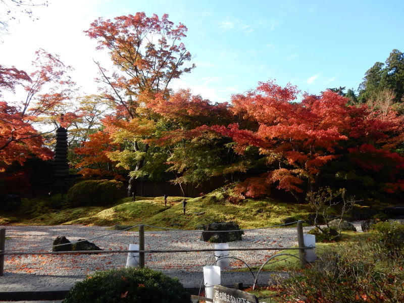 円通院 松島②_e0355177_19542145.jpg