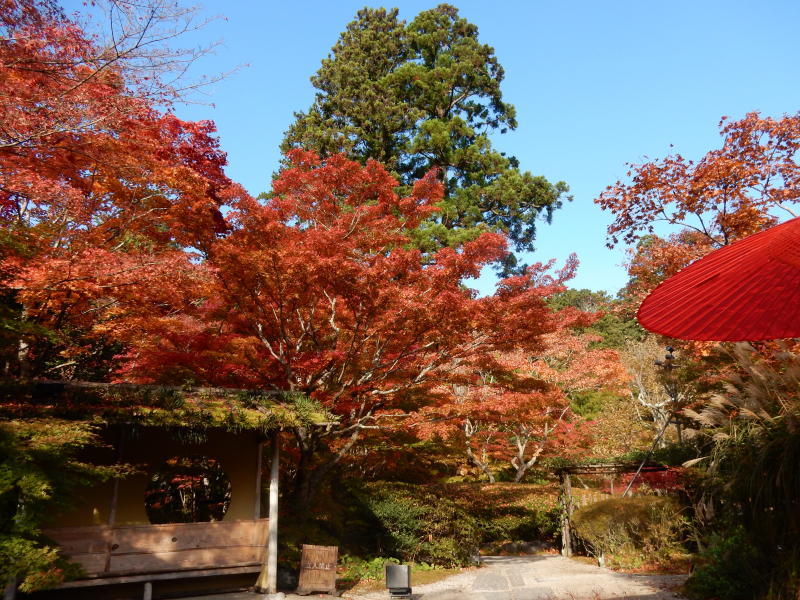 円通院 松島②_e0355177_19581791.jpg