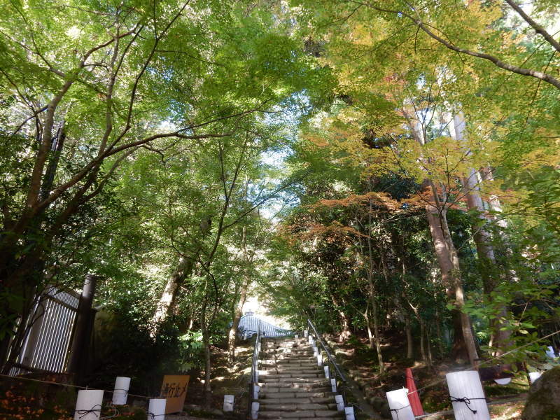 円通院 松島③_e0355177_20163186.jpg