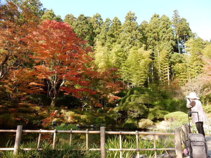 円通院 松島③_e0355177_20191344.jpg