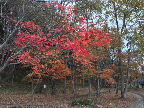 c0380878_20181200.jpg