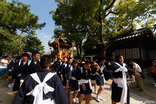 高砂神社秋祭り2017④神幸祭_e0271181_14234821.jpg