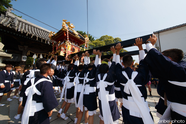 高砂神社秋祭り2017④神幸祭_e0271181_14464166.jpg