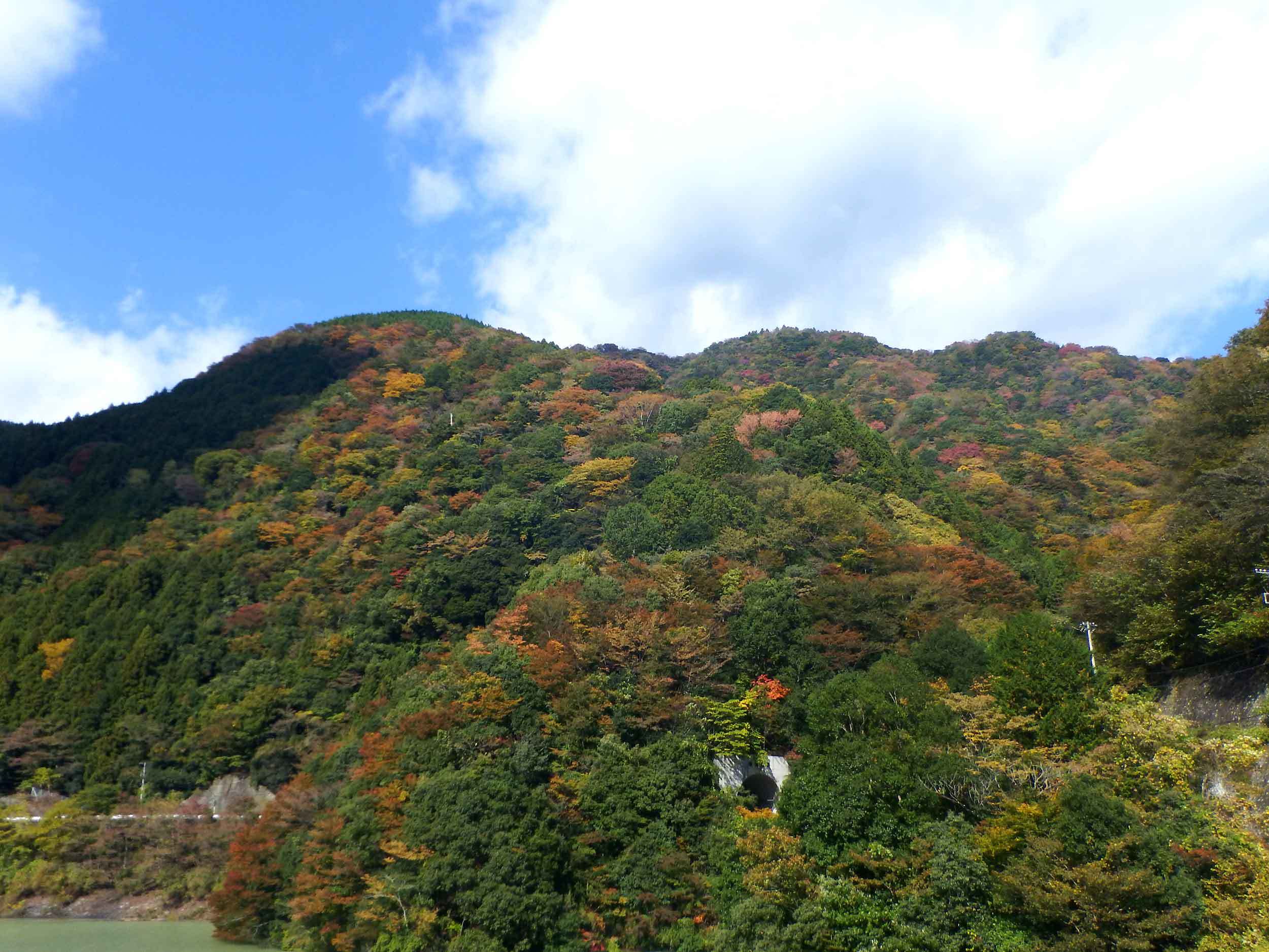 c0176183_13124266.jpg