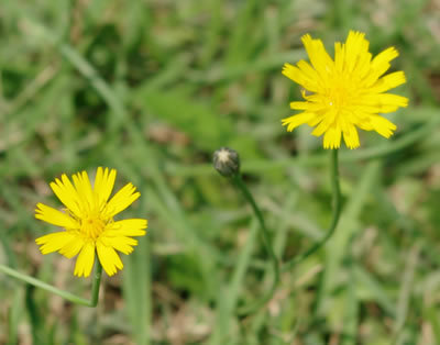 b0123486_12390833.jpg