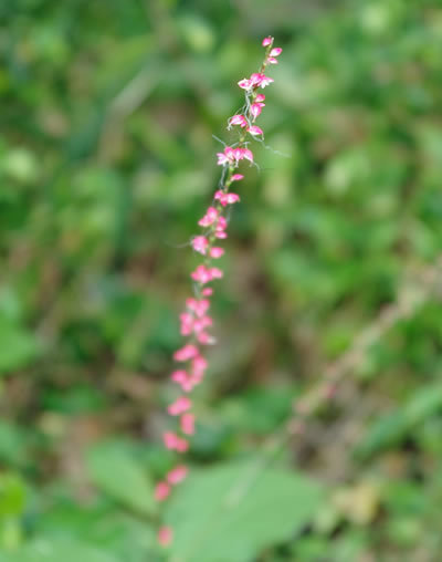 b0123486_13005281.jpg