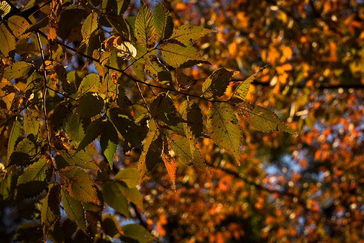 d0353489_10473221.jpg