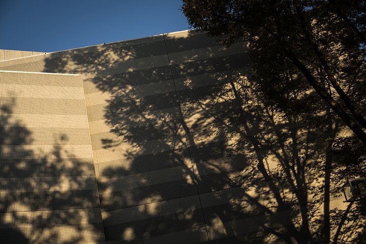 d0353489_10482898.jpg