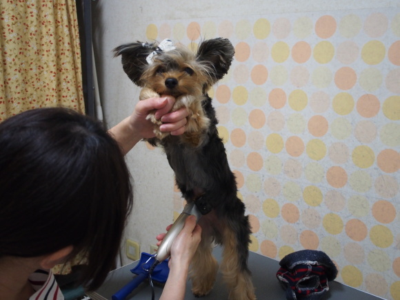 c0191390_22562571.jpg