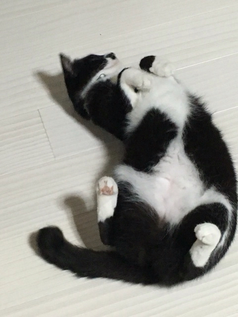 d0360391_21013310.jpg