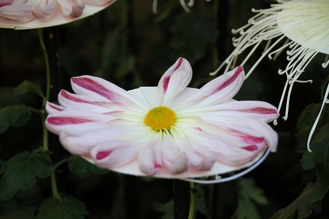f0374092_21072801.jpg