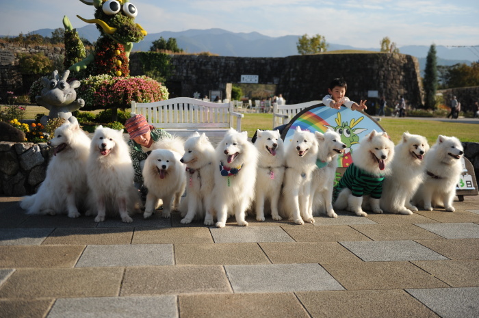 四国ツアー 1_a0049296_07095612.jpg
