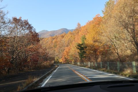 c0090198_2102127.jpg