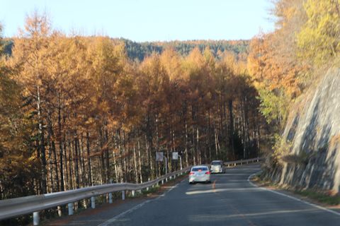 c0090198_2110962.jpg