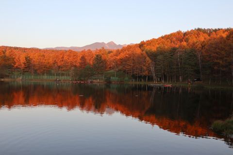 c0090198_21161141.jpg