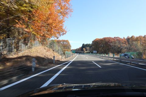 c0090198_21525580.jpg