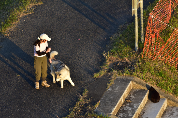 つづきは、八重川から(^o^)_c0049299_21072952.jpg